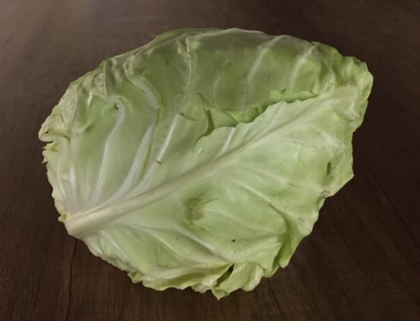 CAVOLO CAPPUCCIO BIANCO